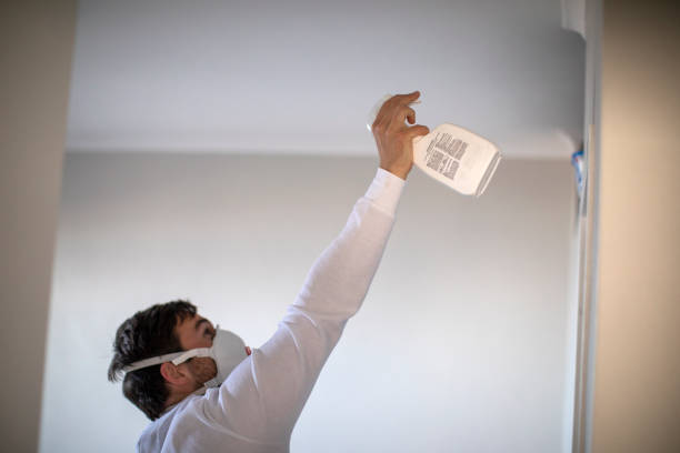 Best Office Mold Removal Services  in Soh Weber, UT